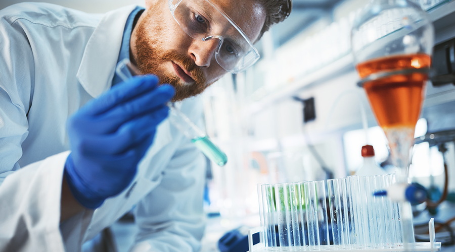 Masters of Engineering in Chemical Engineering | Postgraduate Courses | VUT