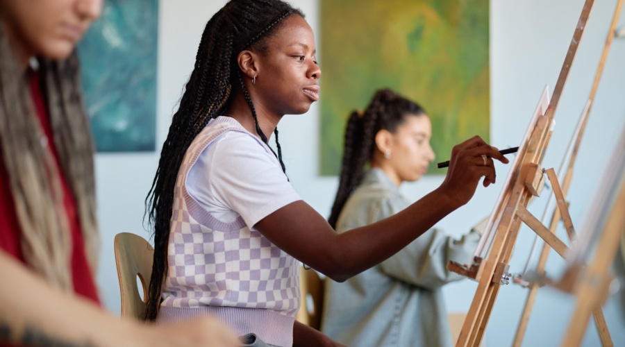 master of visual arts